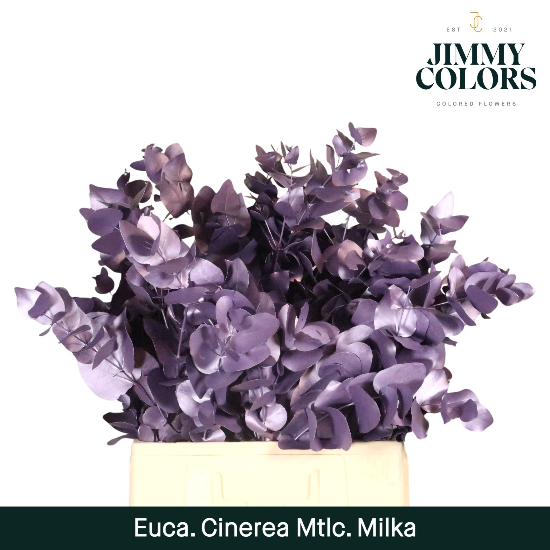 Cinerea Per Bos 200g Metallic Milka