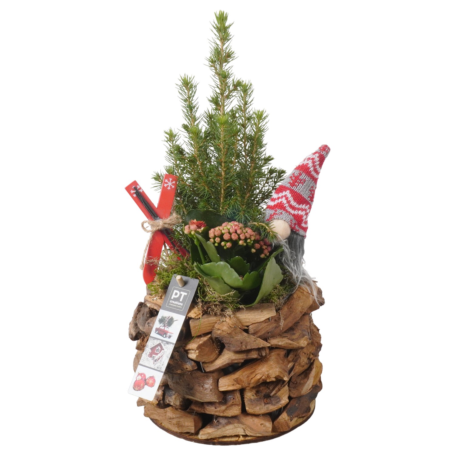 Picture of PTKB9309 Arrangement X-Mas in wooden pot P17 38CM