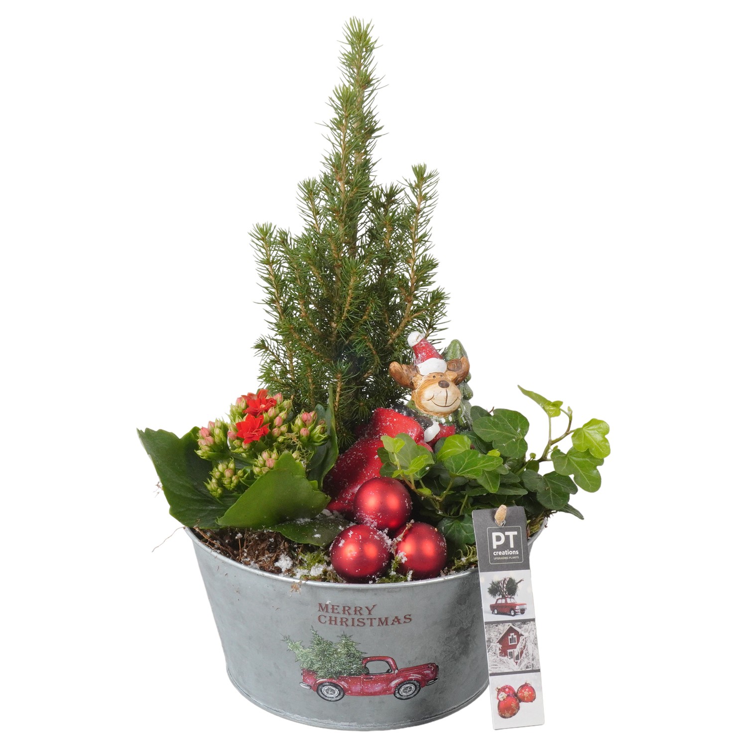 Picture of PTKB9450 Arrangement X-Mas in zinc pot P20 35CM