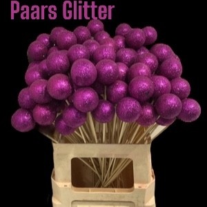 Kerstbal Op Stok H%