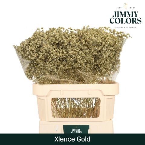 Gyps Xlence L80 Mtlc. Gold