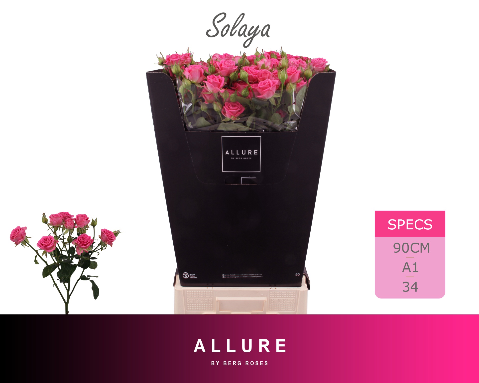 R Tr Solaya 90cm