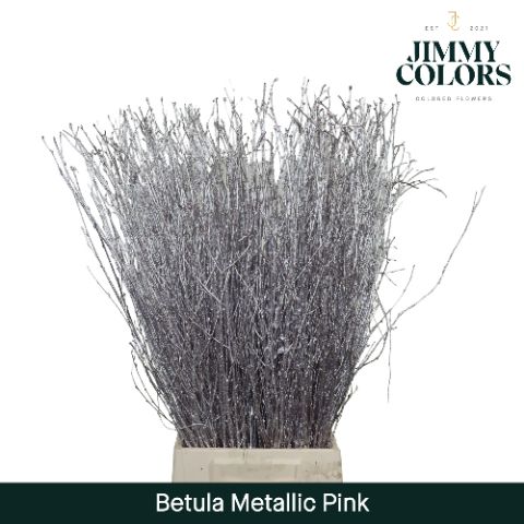 Betula L70 Mtlc. Pink