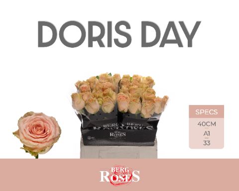 R Gr Doris Day