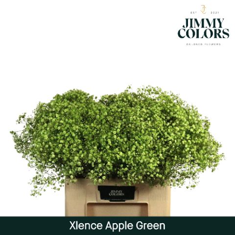 Gyps Xlence L60 Apple Green