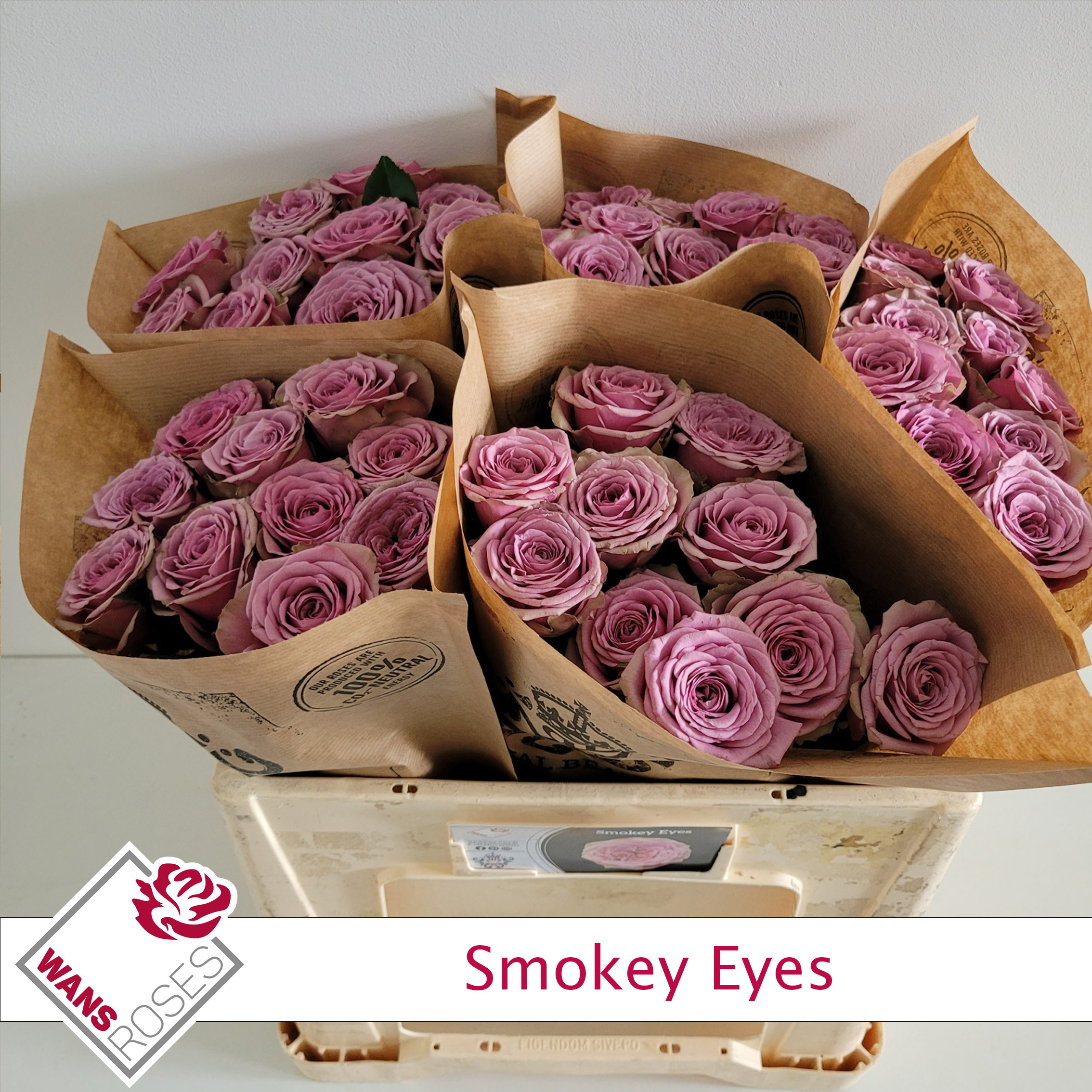 Rosa Garden Smokey Eyes 50cm