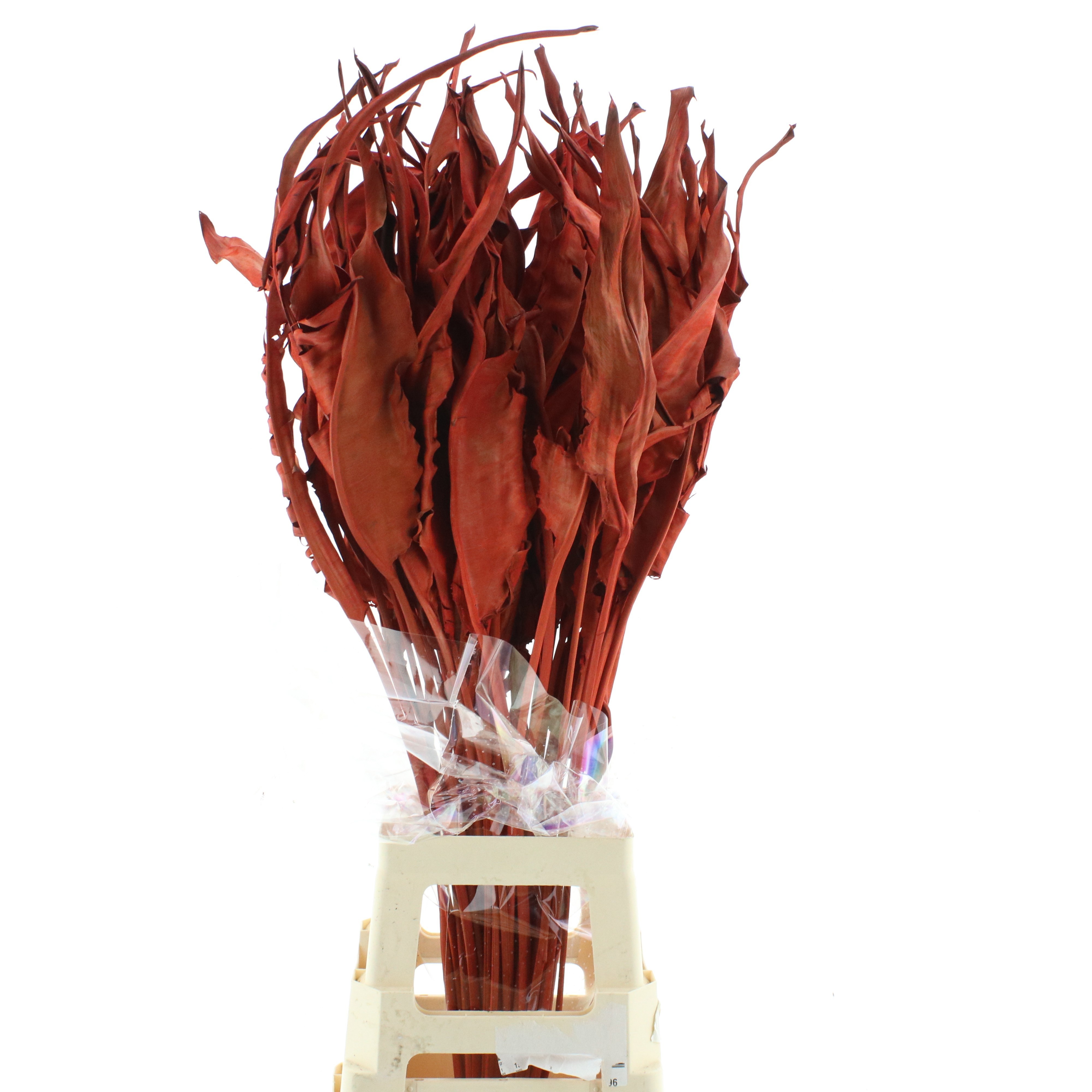 Dried Miscellaneous 90cm