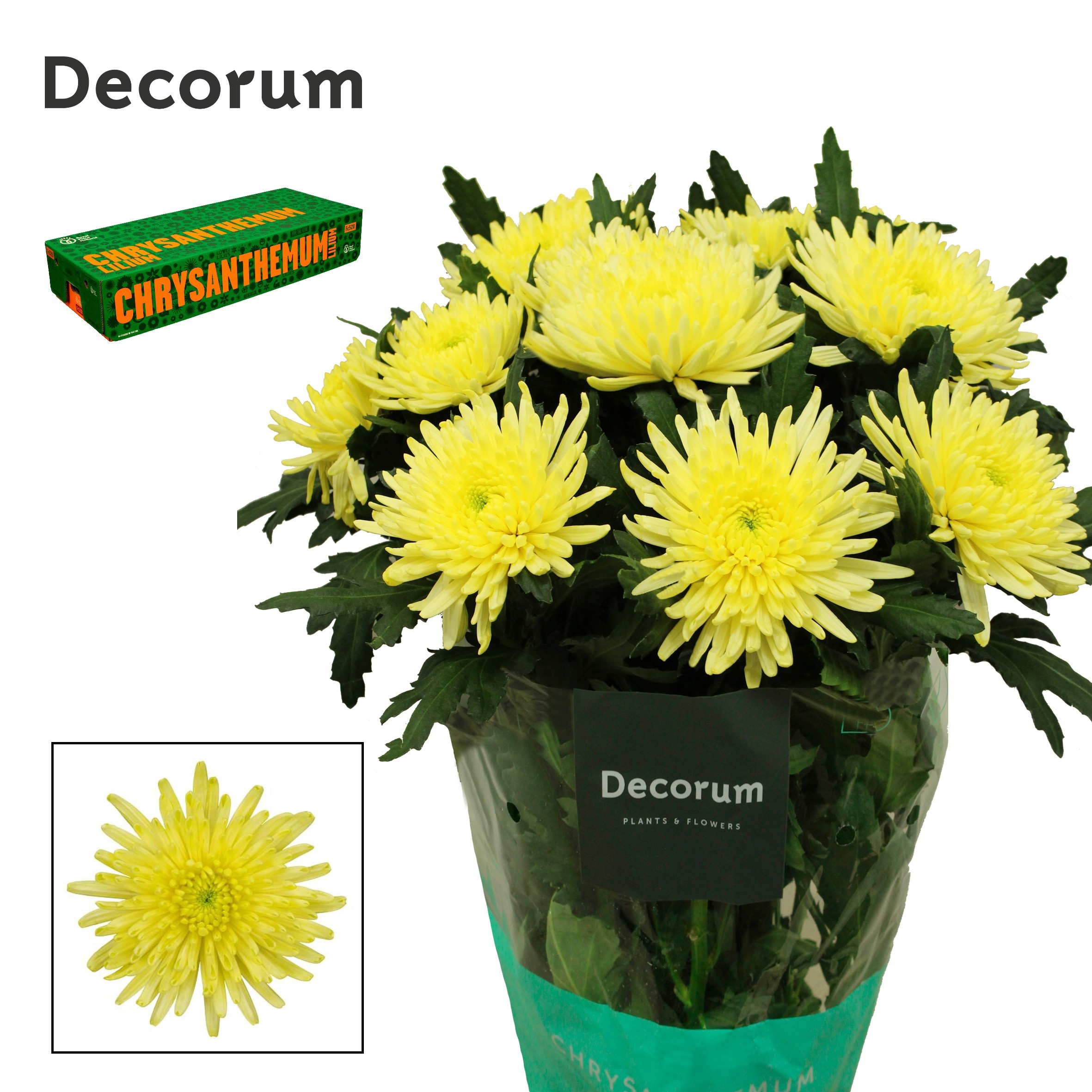 Chr G Topspin Yellow 70cm 95gram