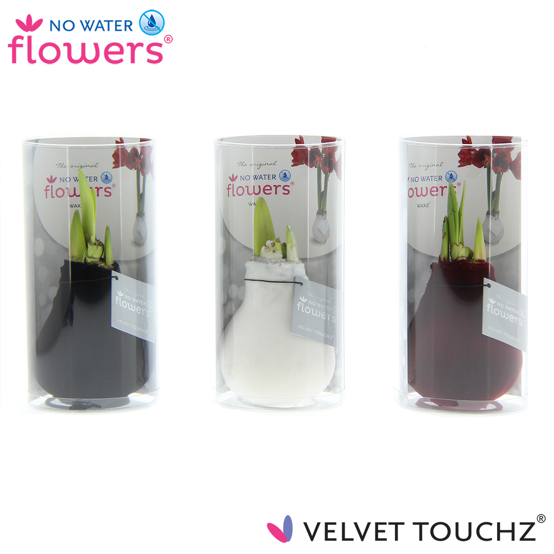 Picture of No Water Flowers Velvet Touchz® Classic mix in Tube 15CM