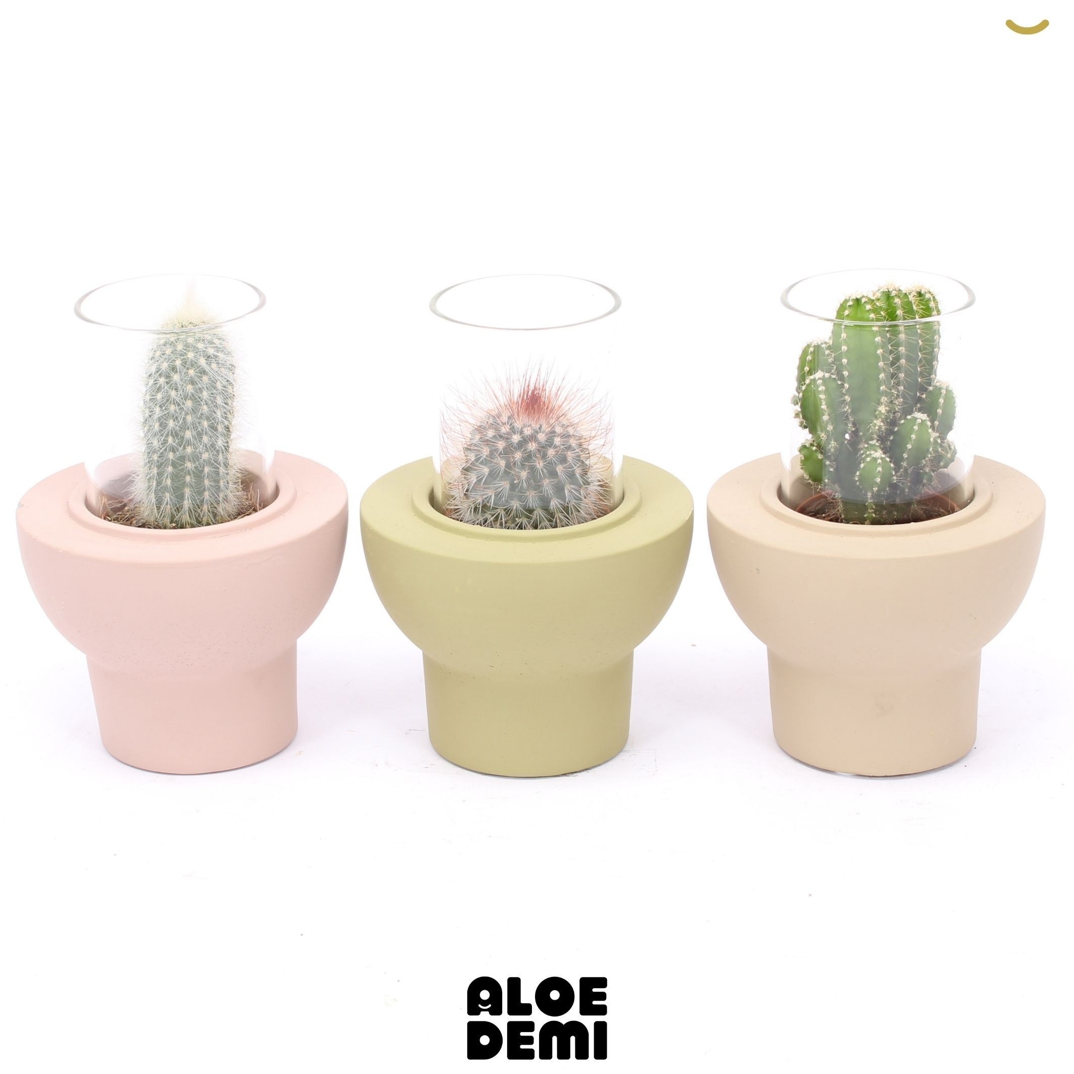 Cactus Gem 3 Srt 10Ø 14cm
