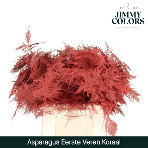 Aspa 1ste Veren Coral