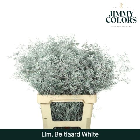 Lim Bel L70 White