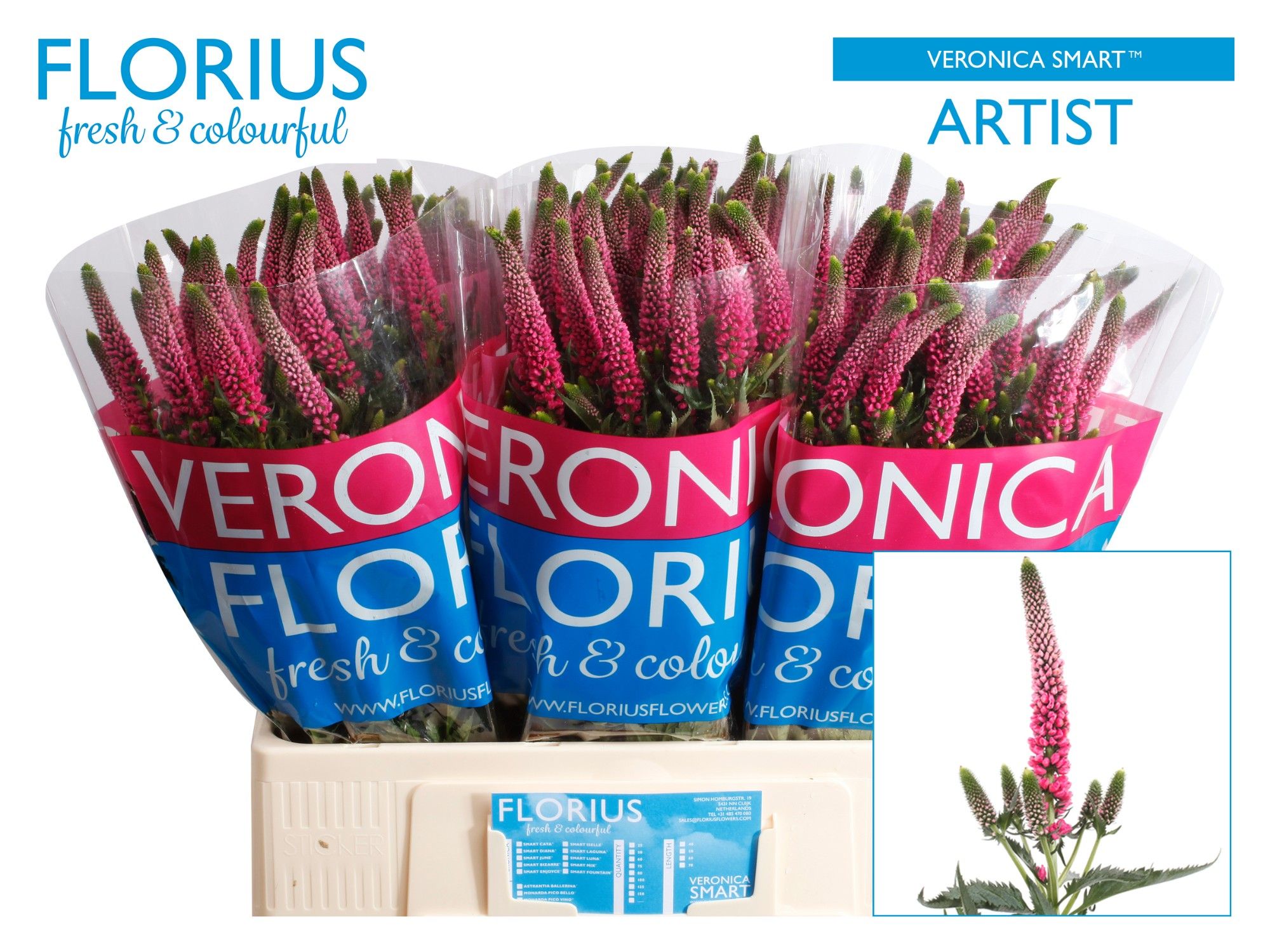 Veron Smart Artist