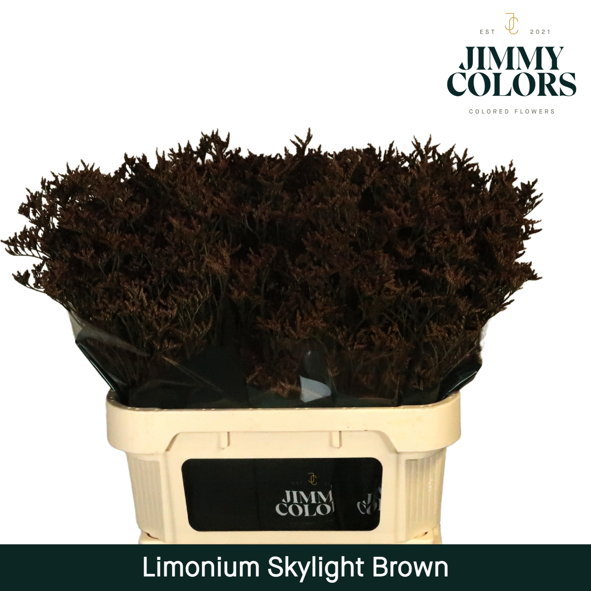 Lim Skylight L70 Brown