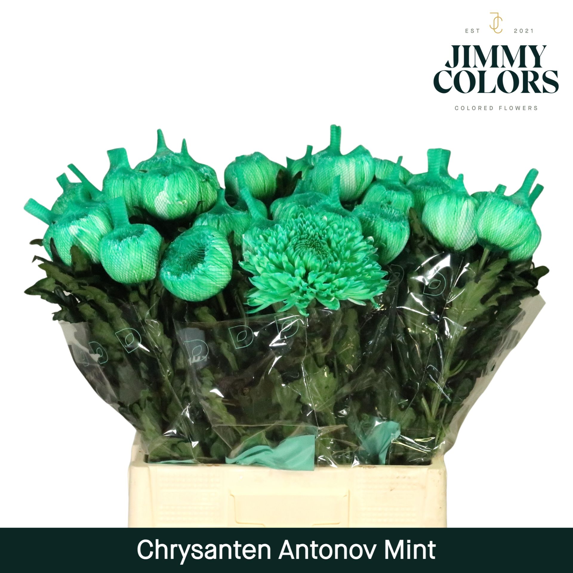 Chr G Antonov Mint