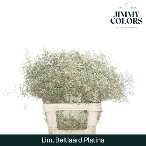 Lim Bel L70 Metallic Platina