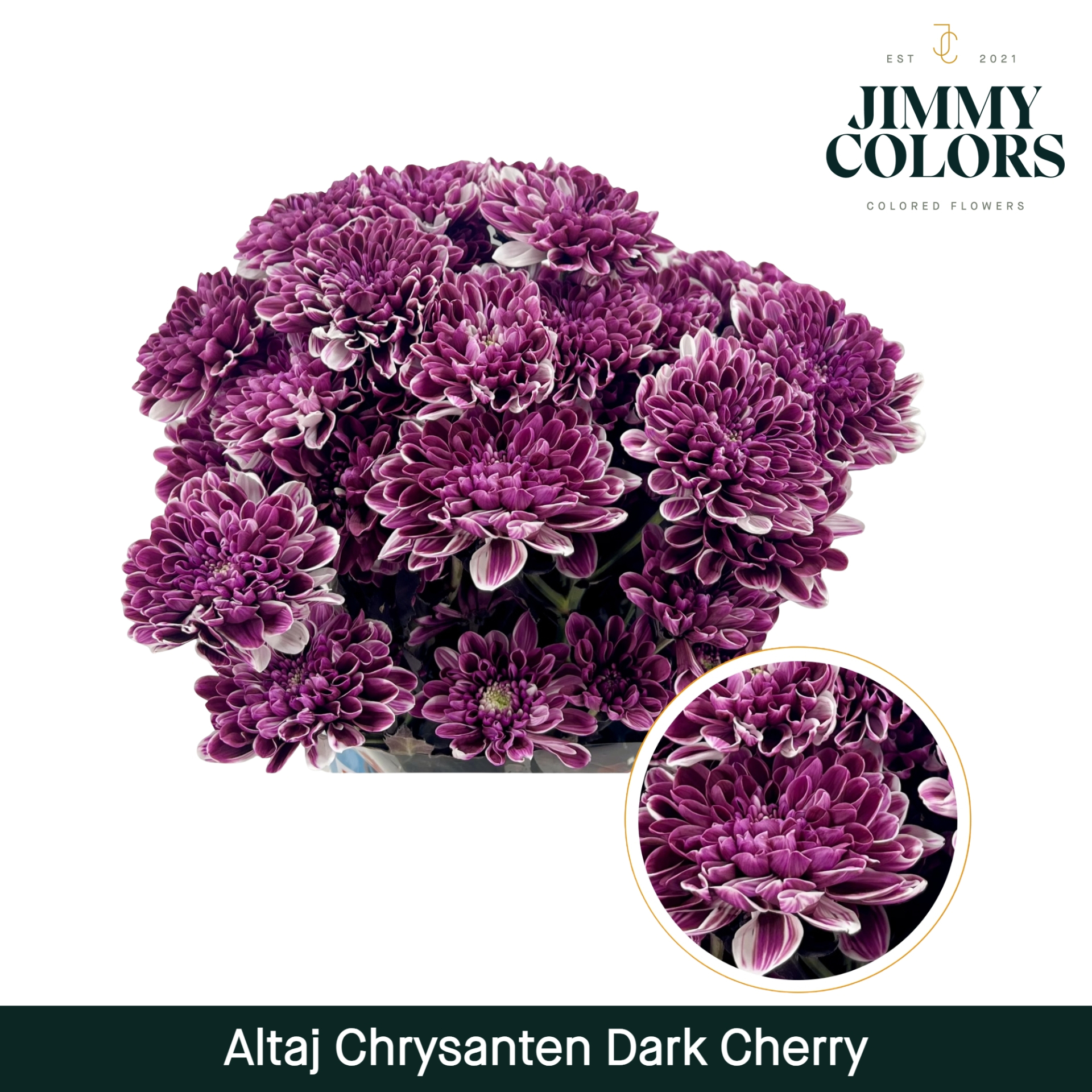 Chr T Altaj Dark Cherry
