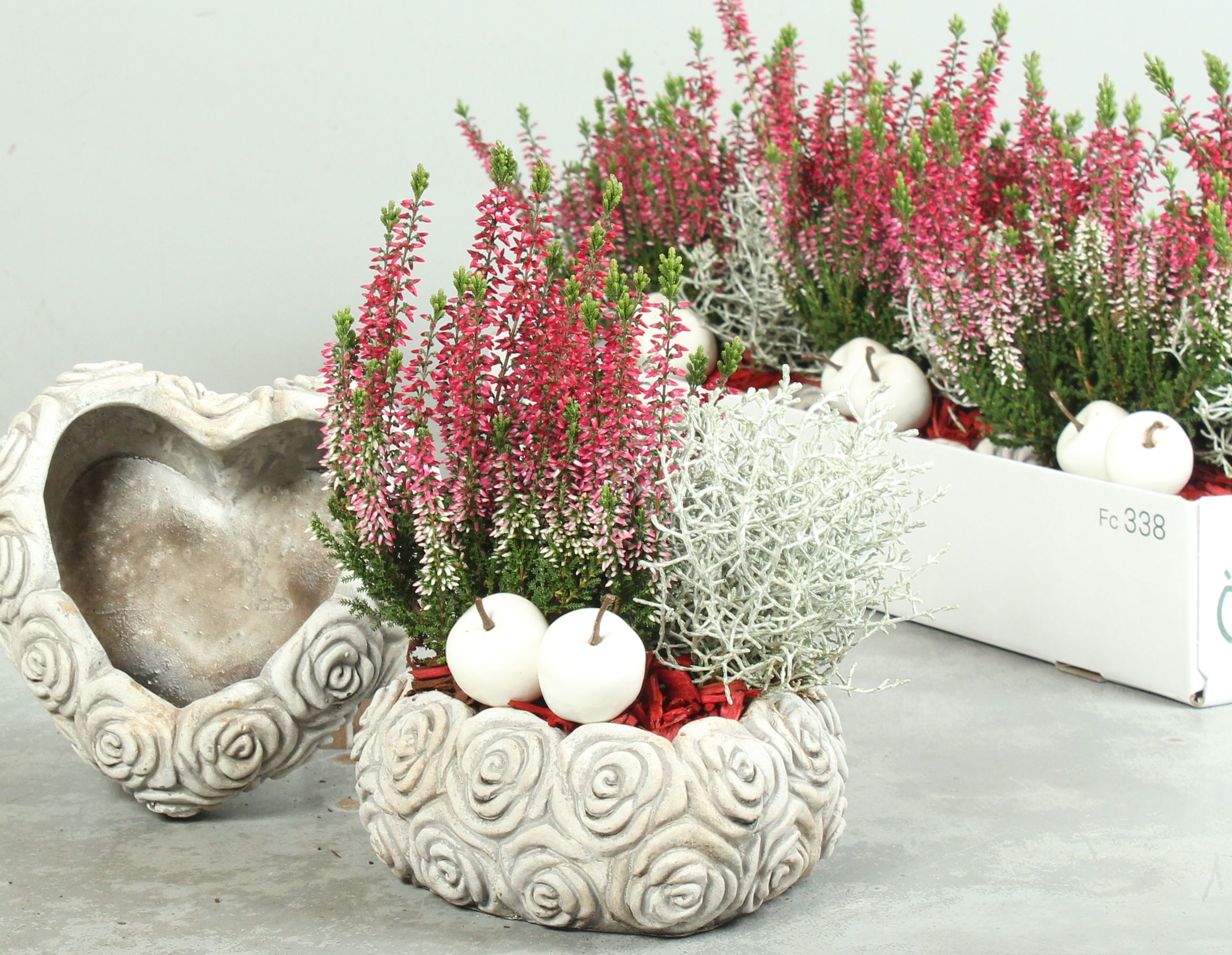 Arr Tuinplanten 18P 35cm