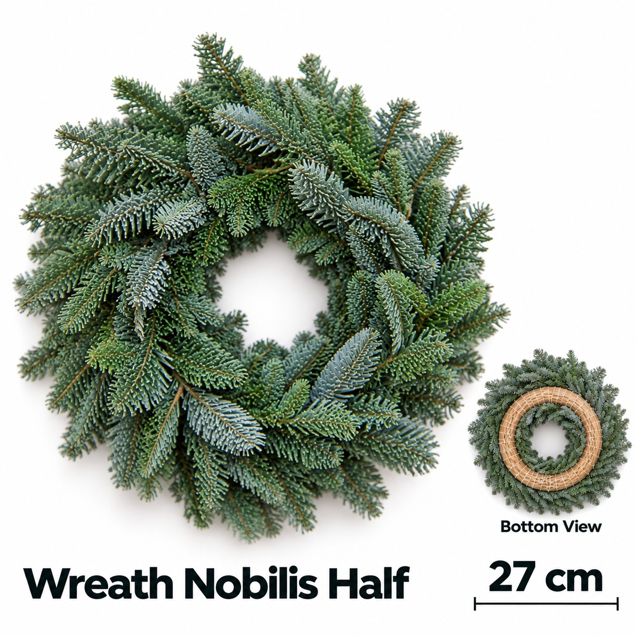 Abies Nobilis Blauw 27L.cm