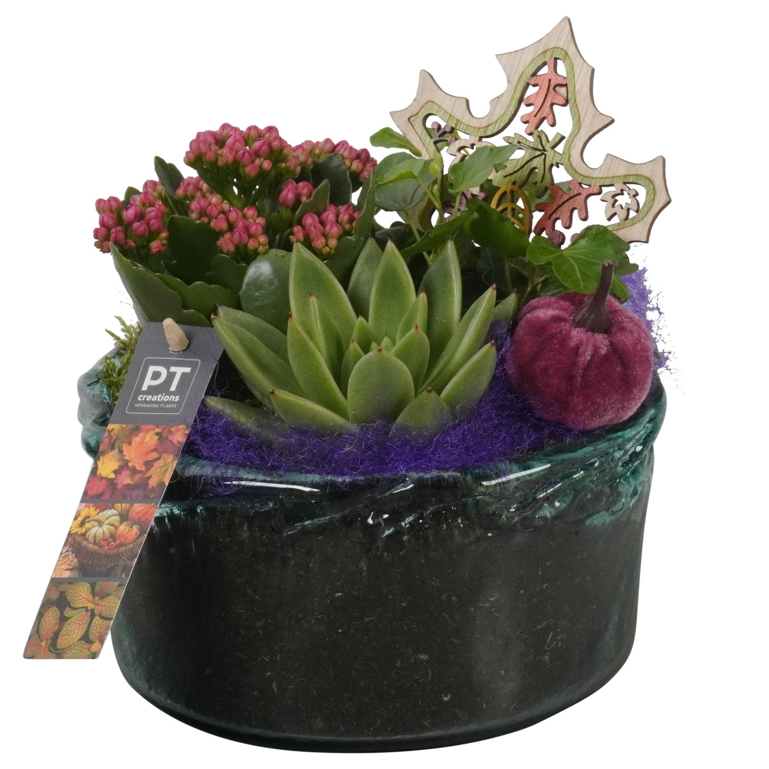 Picture of PTHG1724 Arrangement Autumn in glass bowl P18 20CM