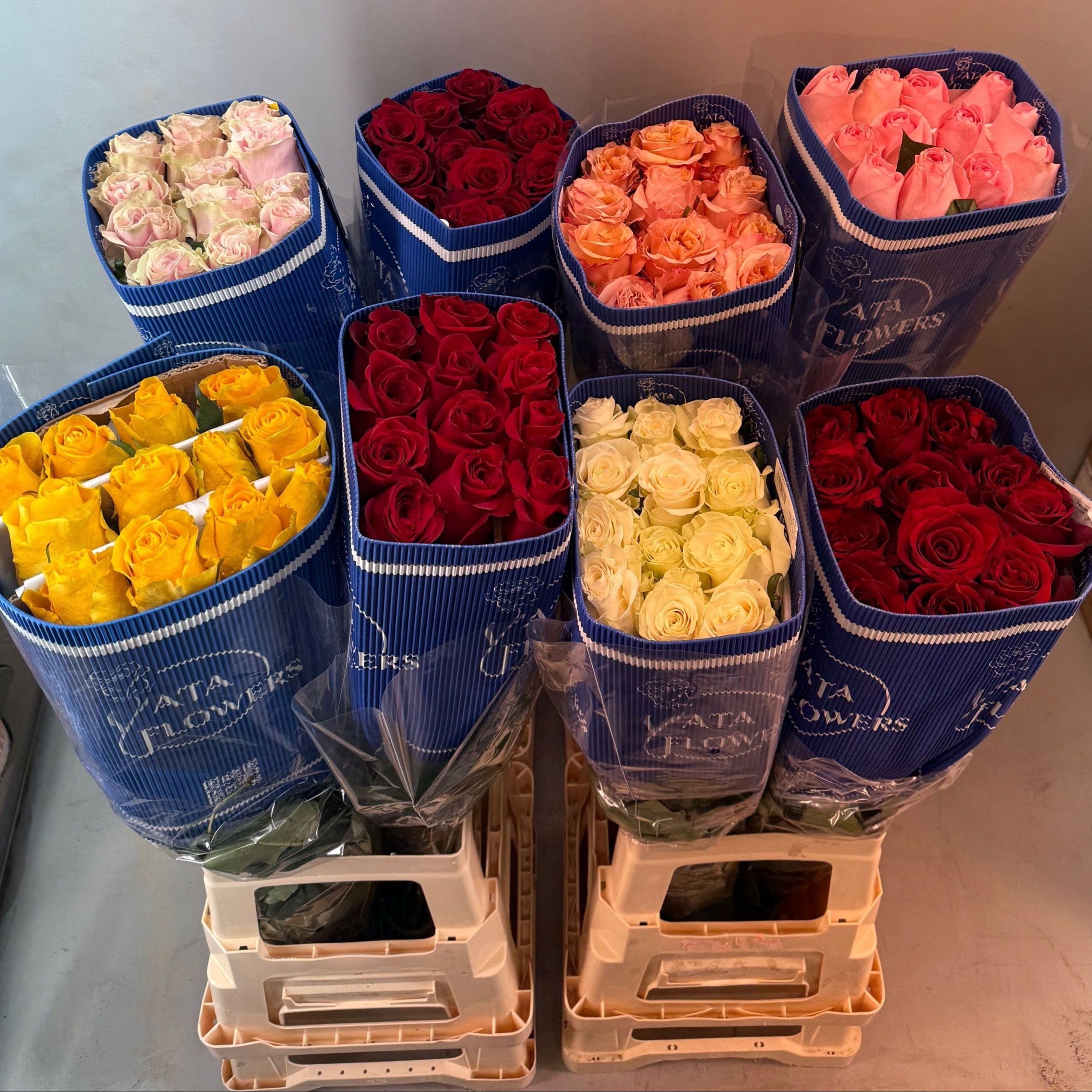 Rosa Mixed In Bucket 70cm