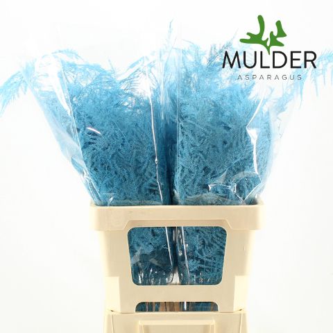 Asp S Klb H% Extra Veren Turquoise