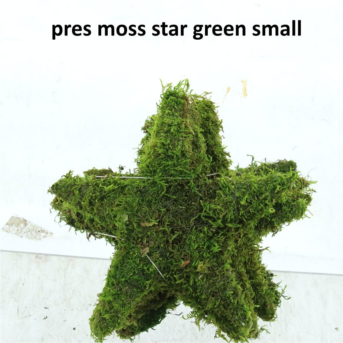 Sphagnum Flatmos
