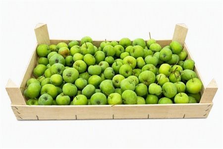 Malus Per Tray