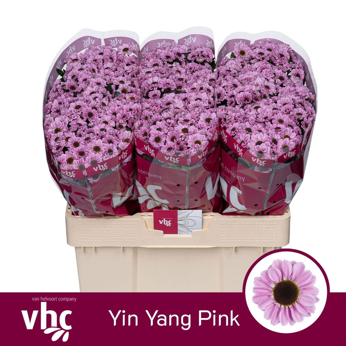 Chrys Santini Yin Yang Pink 55cm 105Ø
