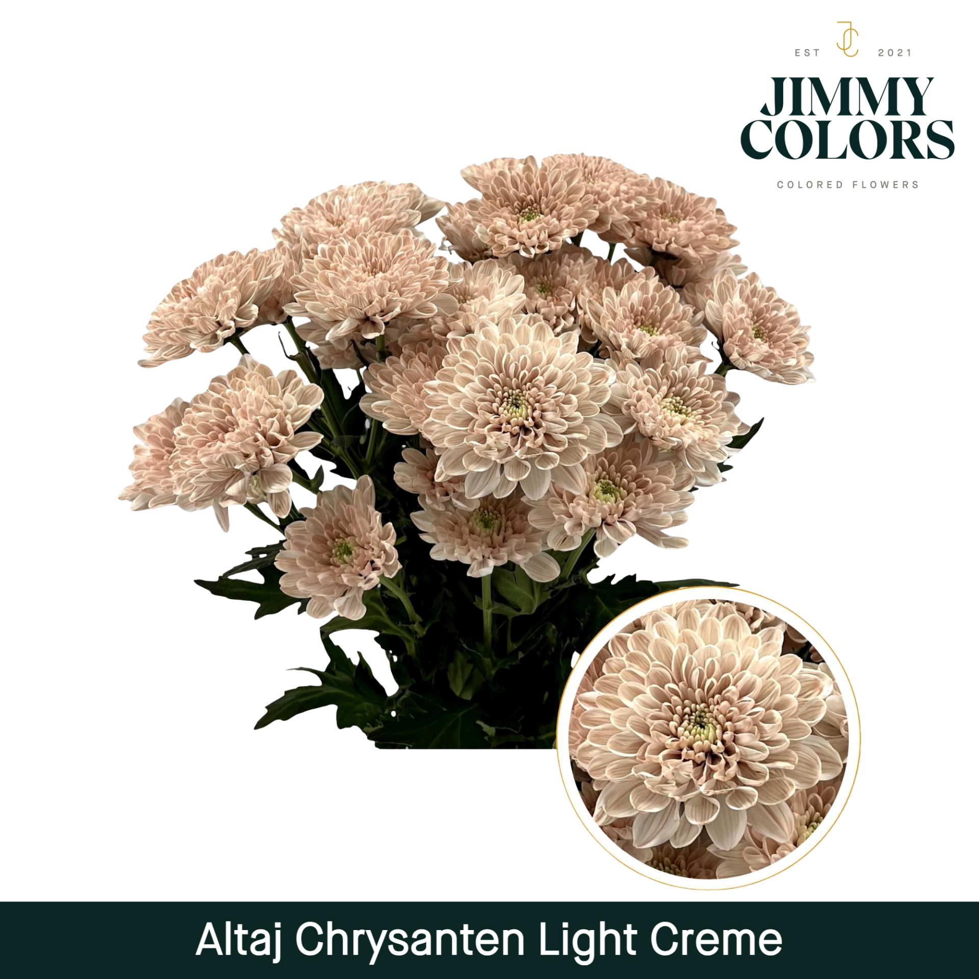 Chr T Altaj Light Creme