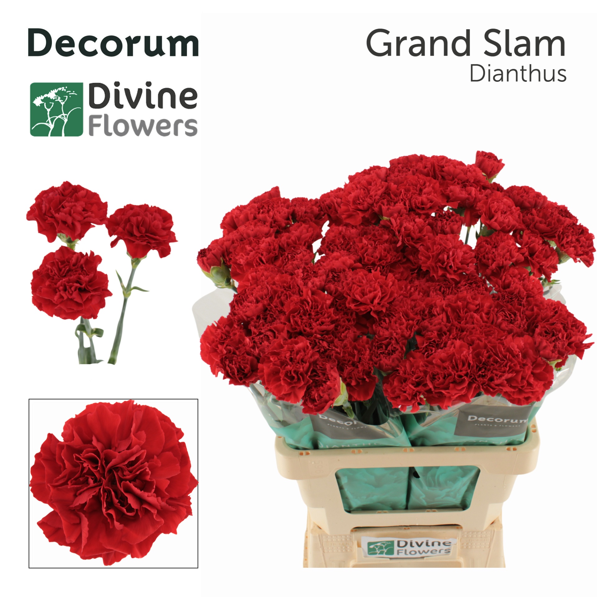 Di St Grand Slam