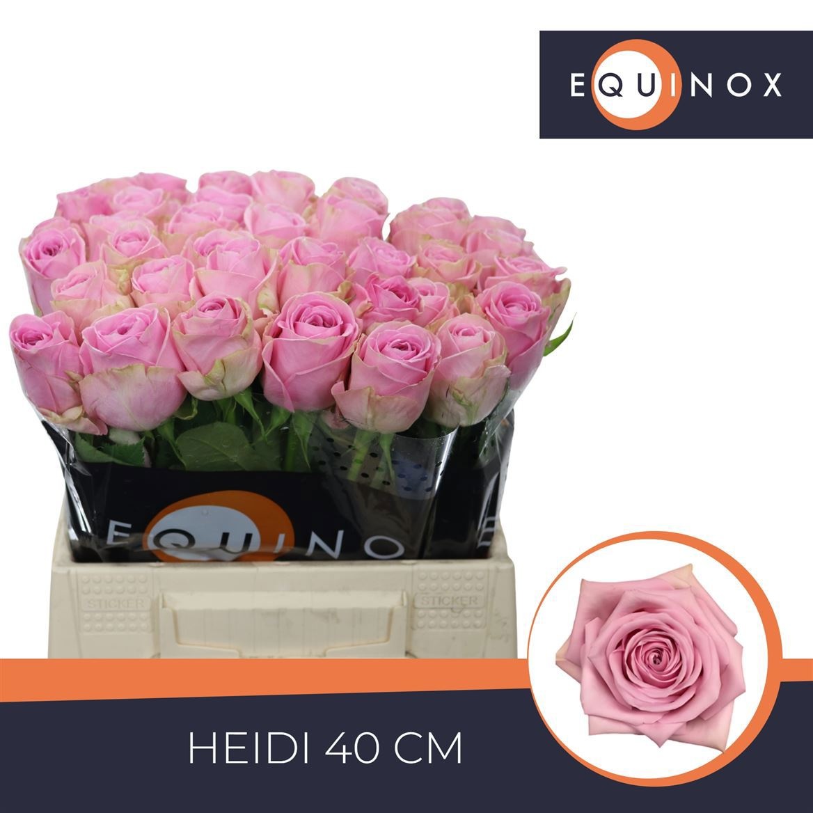 R Gr Heidi!