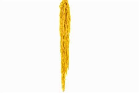 Dried/preserved Flowers Misc 70cm 150gram