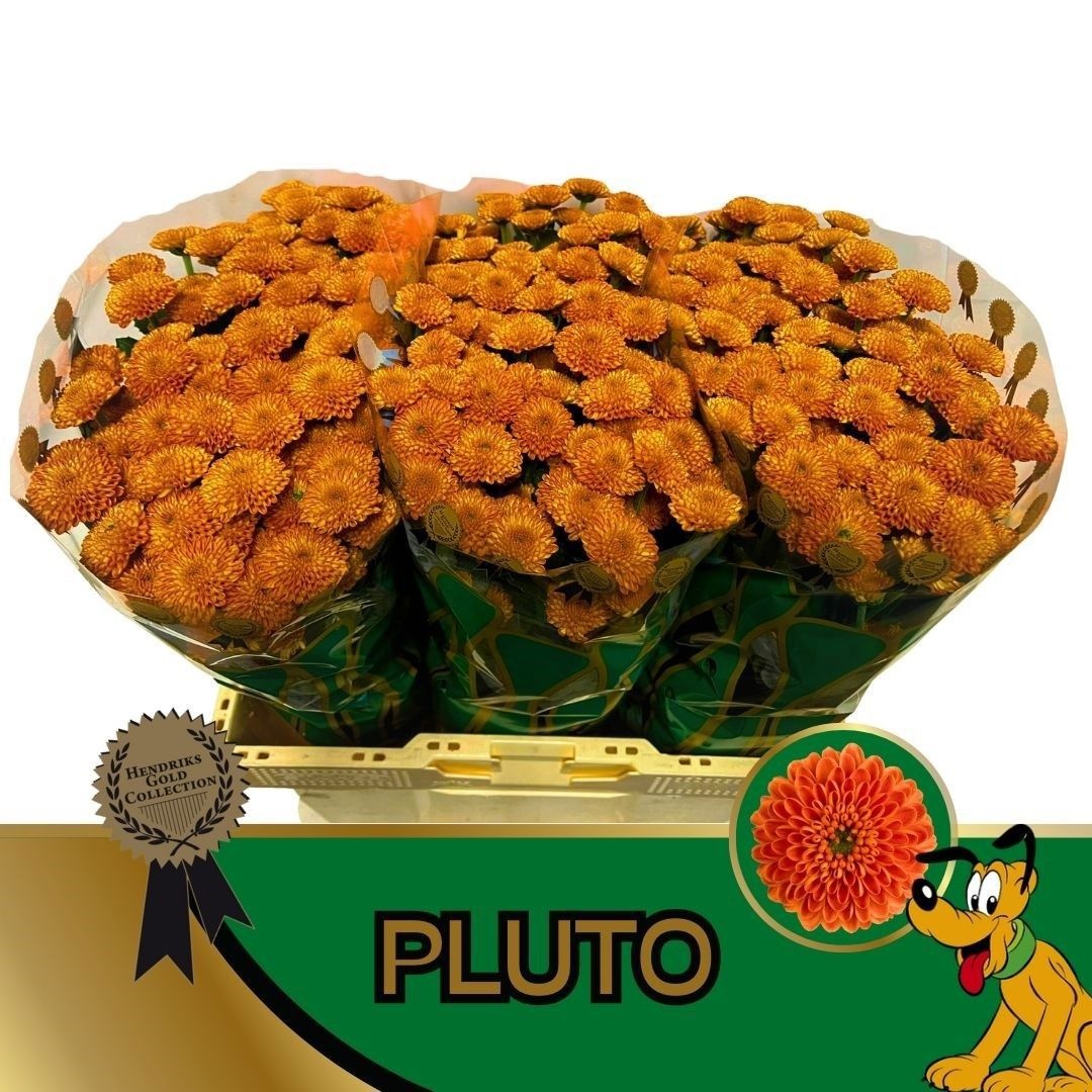 Chr S Pluto