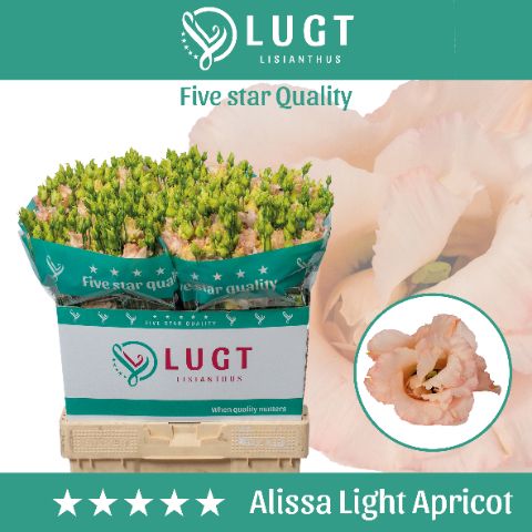 Eus G Alissa L Apric