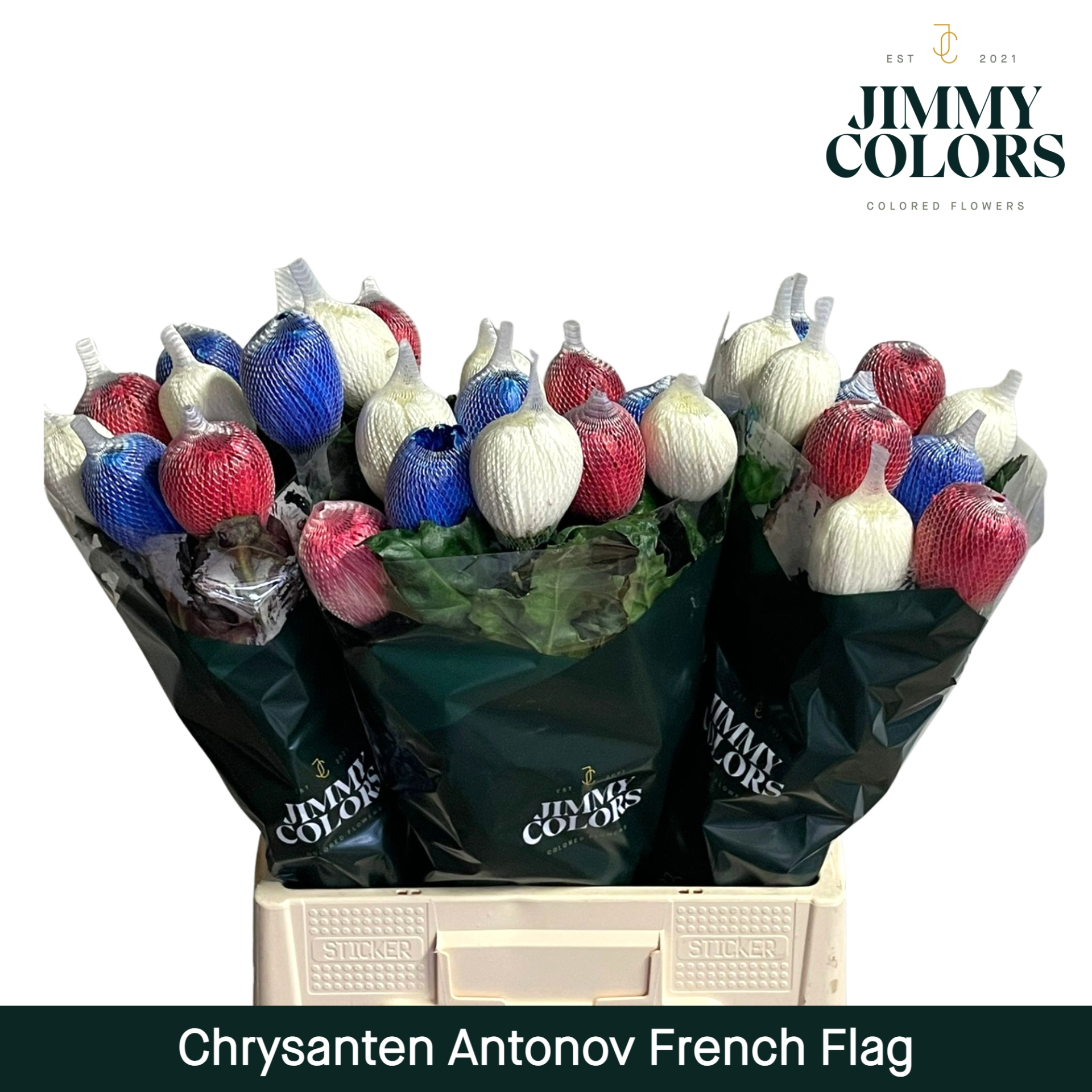 Chr G Antonov French Flag