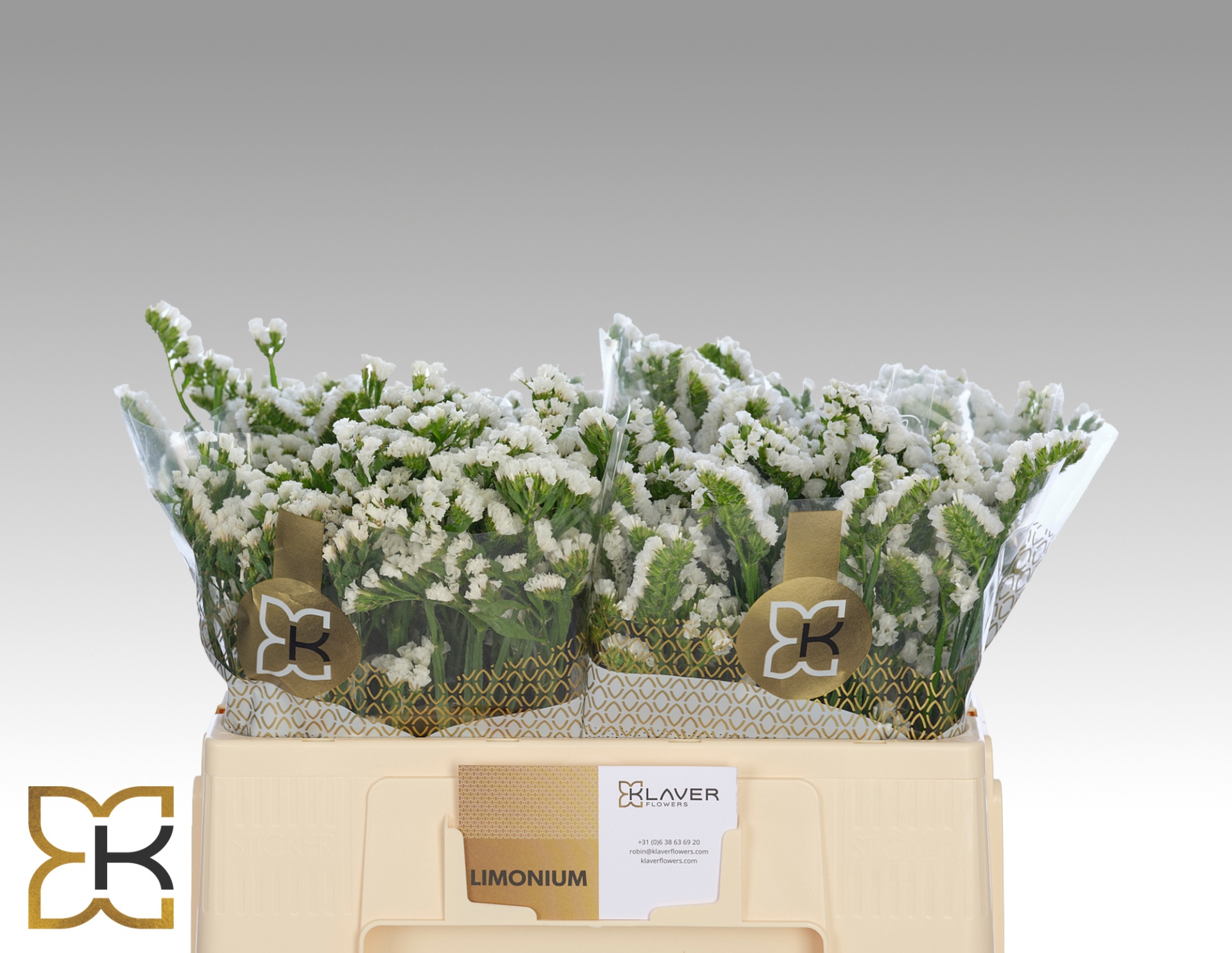Lim S Frost Wings 50cm 10gram