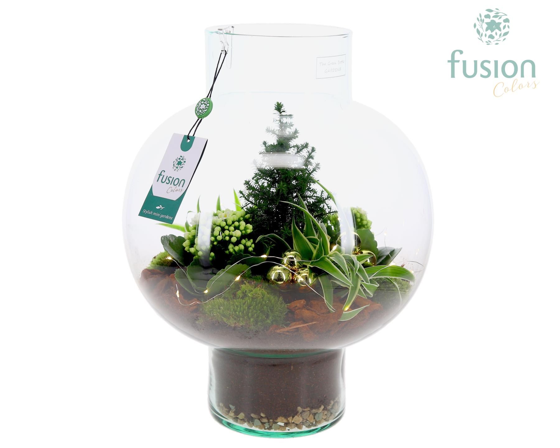 Picture of X-Mas arrangement Green Bottle Laura Large FC-24.0927FDH P31 43CM (LOOSE)
