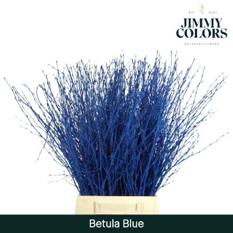 Betula L60 Mtlc. Blue