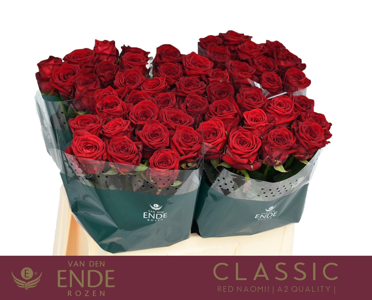 Rosa Red Naomi 60cm