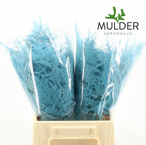 Asp S Klb H% 1e Veren Turquoise