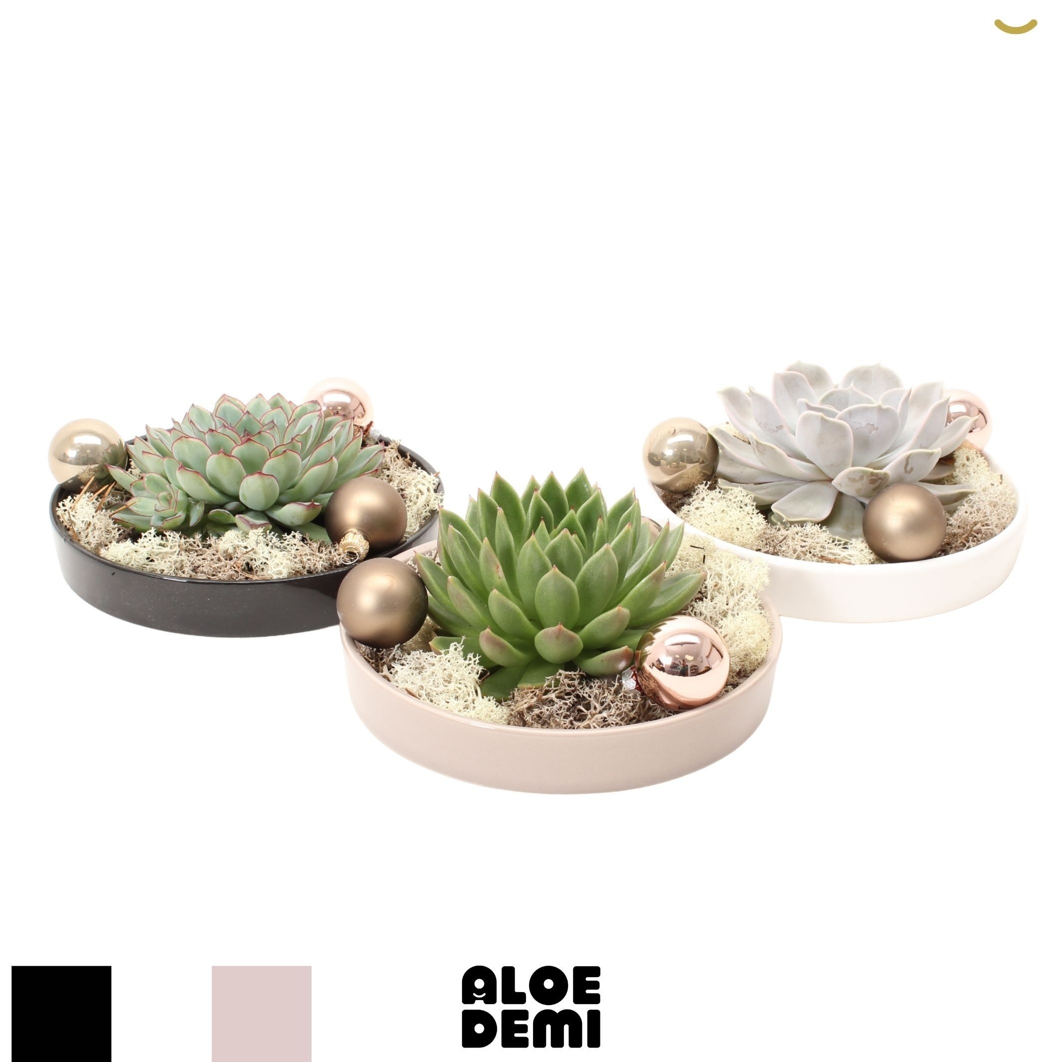 Vetplanten Arr 6% 20Ø 5cm