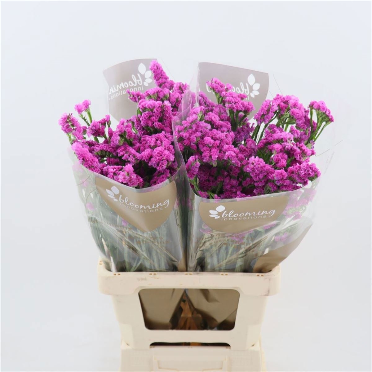 Statice Heart Wings 70cm 25gram