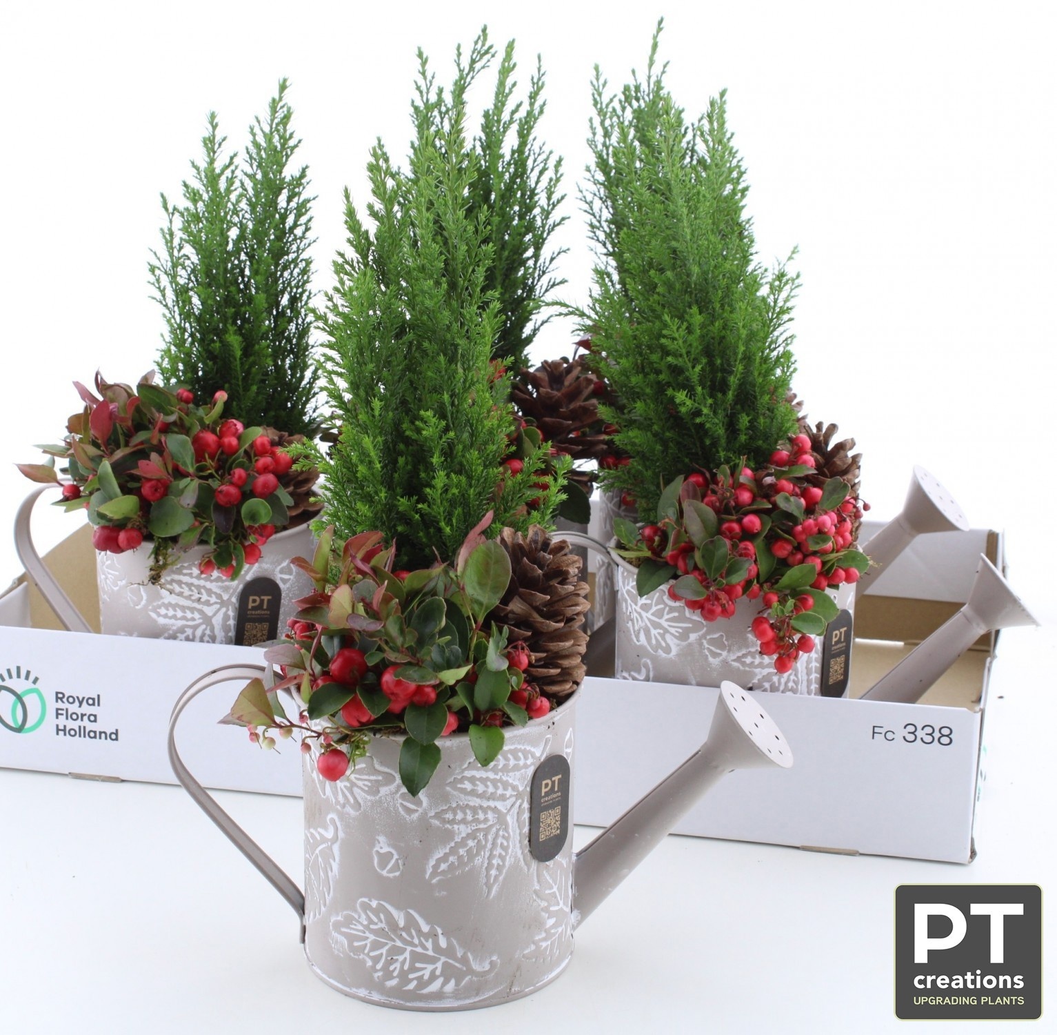 Arrangement Garden Plants 28Ø 39cm