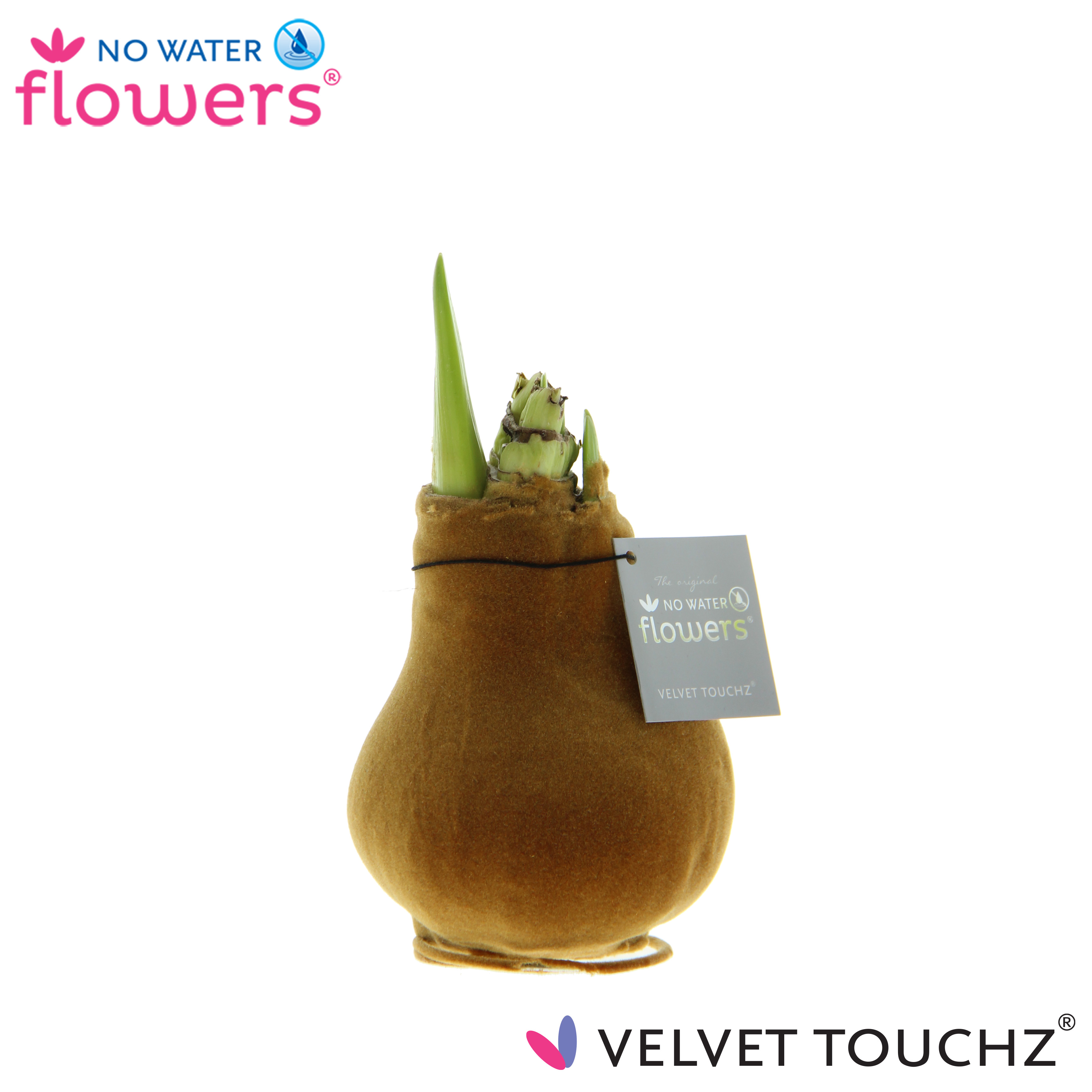 Picture of No Water Flowers Velvet Touchz® Copper 15CM