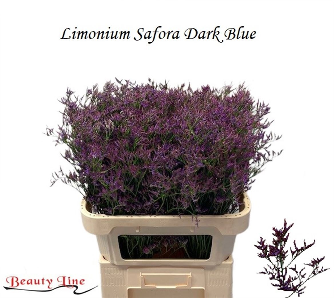 Lim Saf Dark Blue