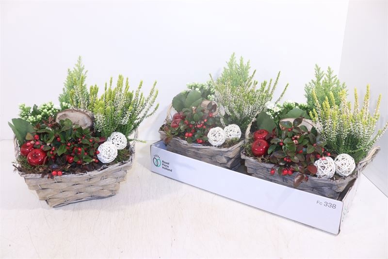 Arrangement Garden Plants 32Ø