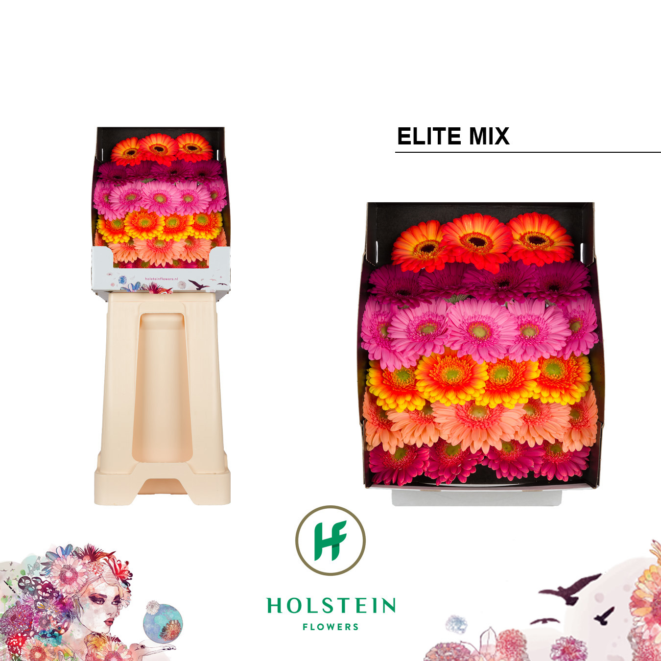 Ge Mi Elite Mix Gem