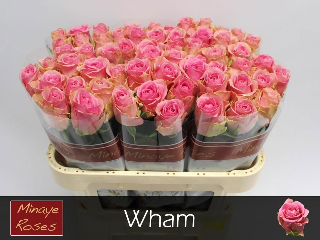 R Gr Wham