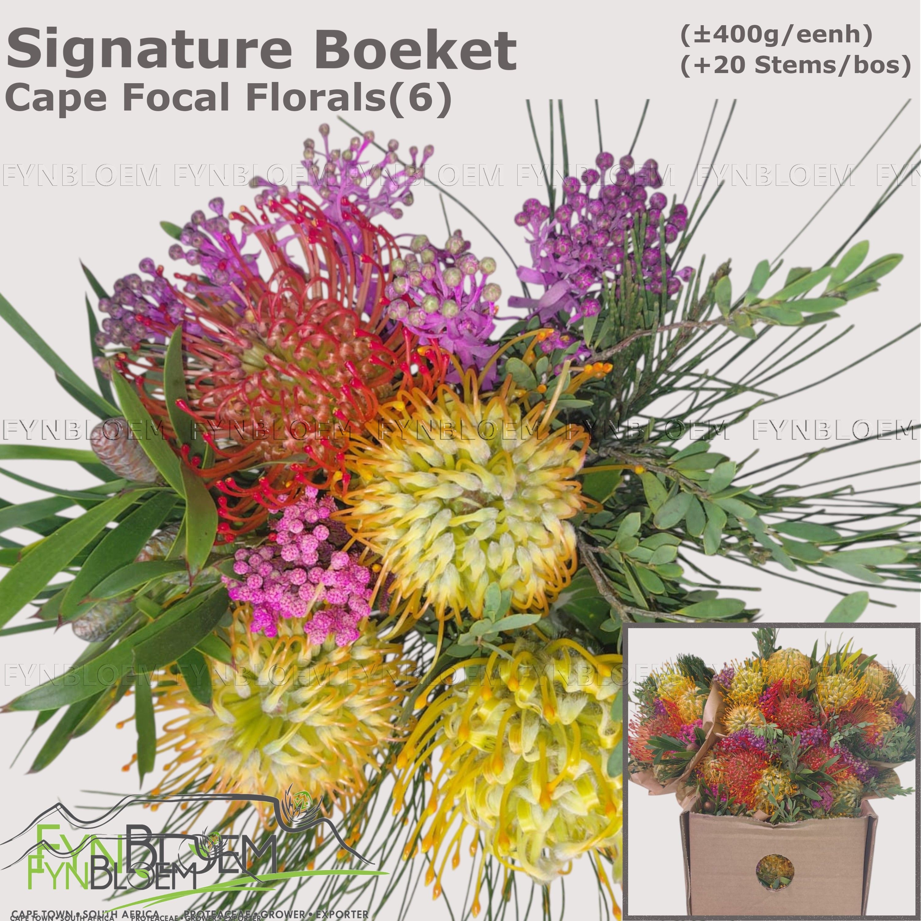 Protea Bouquet Per Bunch 40cm